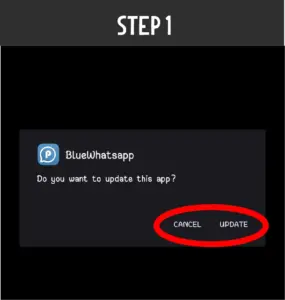Blue WhatsApp Plus  - Step2 For How to update the app