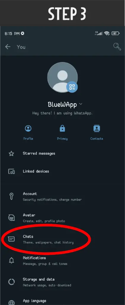 Blue WhatsApp Plus Step3 For Backup Procedure