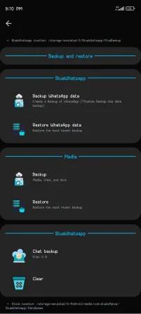 Backup and Restore In Blue WhatsApp - 4